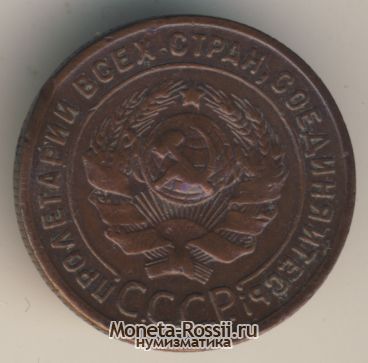 Монета 1 копейка 1924 года