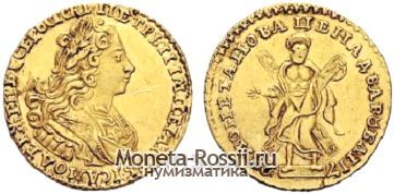 Монета 2 рубля 1728 года
