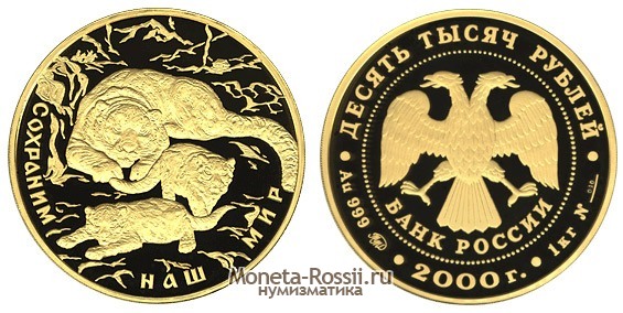 Монета 10000 рублей 2000 года 