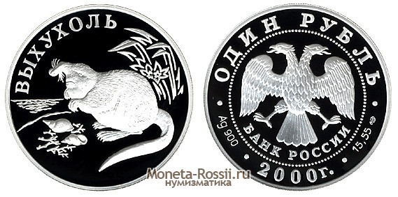 Монета 1 рубль 2000 года 