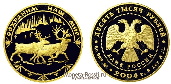 Монета 10 000 рублей 2004 года 