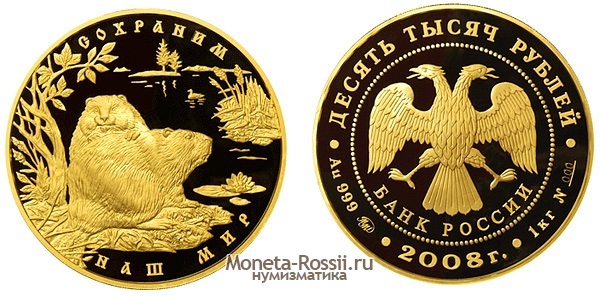 Монета 10 000 рублей 2008 года 