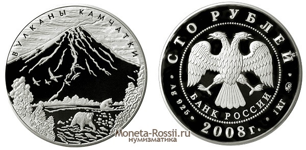 Монета 100 рублей 2008 года 