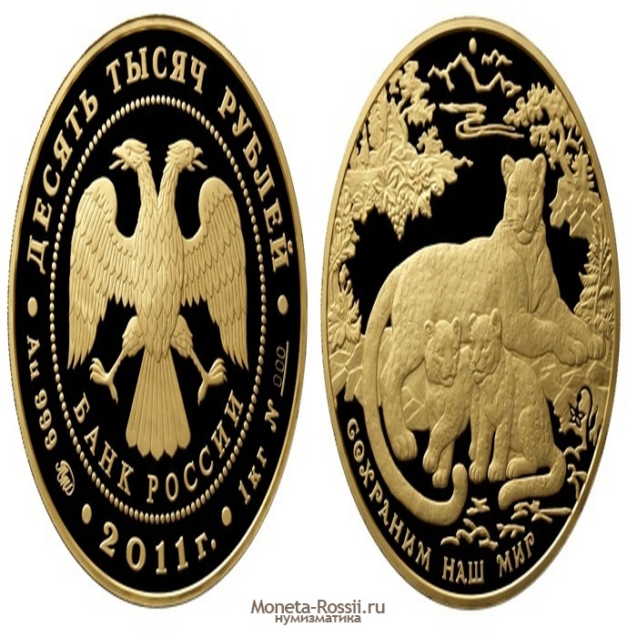 Монета 10 000 рублей 2011 года 